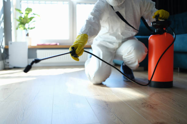 Reliable Odor Removal contractor in Bellaire, TX by Trauma Clean Pros